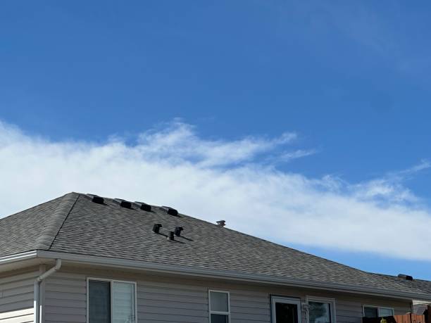 Professional Roofing Service in Grangeville, ID